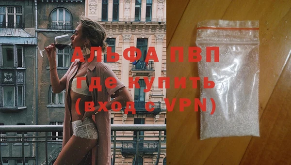СК Липки