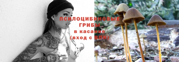 дмт Лихославль