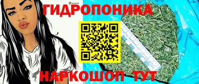 прущие грибы Гагарин