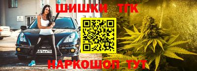 прущие грибы Гагарин
