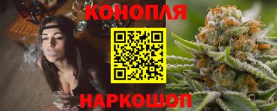 прущие грибы Гагарин