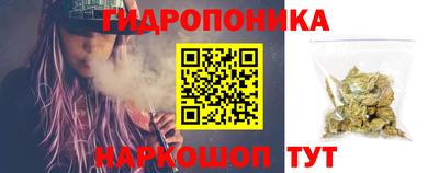 гидра Гай