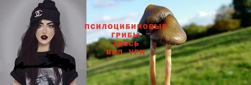 Псилоцибиновые грибы Cubensis  mega   Ижевск 