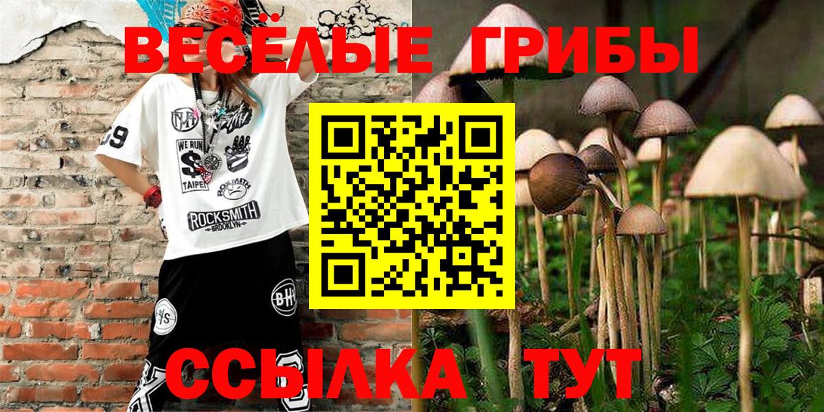 Галлюциногенные грибы Cubensis  Вход с VPN  Ижевск 