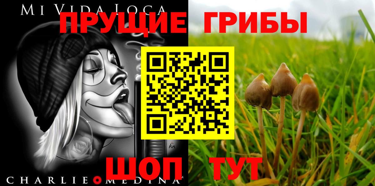 Псилоцибиновые грибы мицелий Ижевск